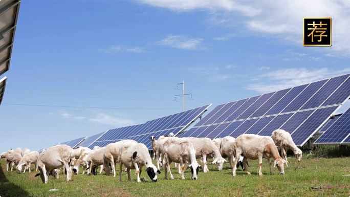 新能源 太阳能 光伏电站 光伏羊绿色能源