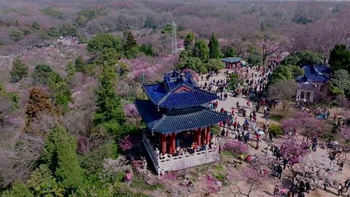 南京梅花山航拍