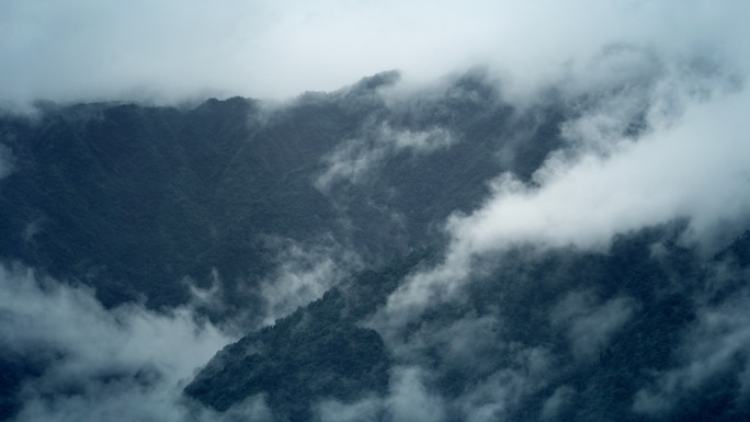 白露清晨雨后大雾云雾雨水大山意境霜降寒露