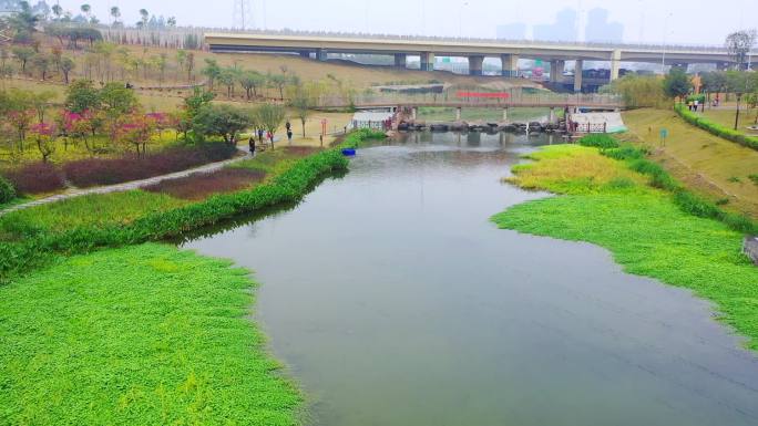 海绵城市 那考河公园 生态环境 水治理