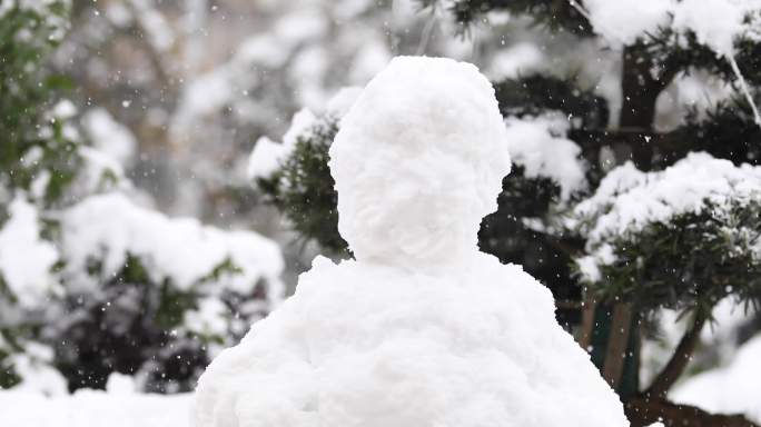 4K实拍芩巩雪景19组