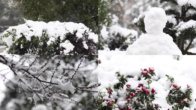 4K实拍芩巩雪景19组