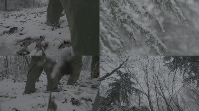 唯美雪景 雪中的松柏 雪中脚步