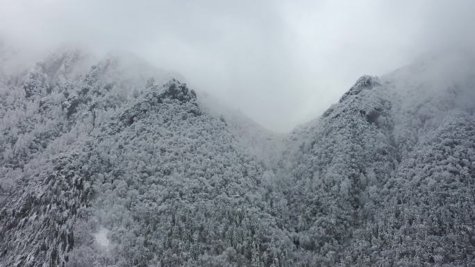 九江神雾山雪景2K