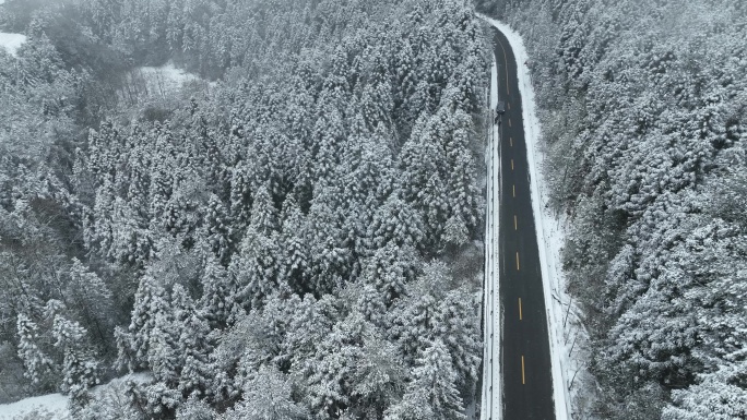 4K航拍重庆彭水摩围山公路汽车雪景