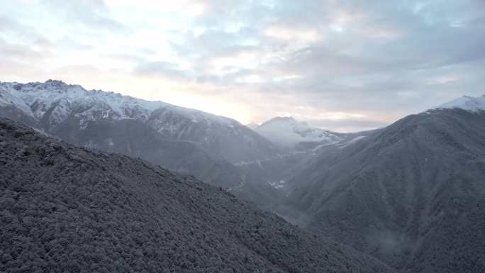 香格里拉白马雪山清晨航拍