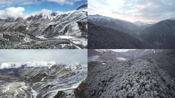 香格里拉白马雪山清晨航拍