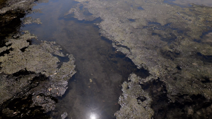 4k 污水 污染 水质