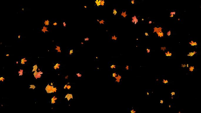 黄树叶满屏飞舞循环带通道