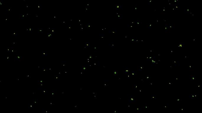 树叶飘落循环带通道