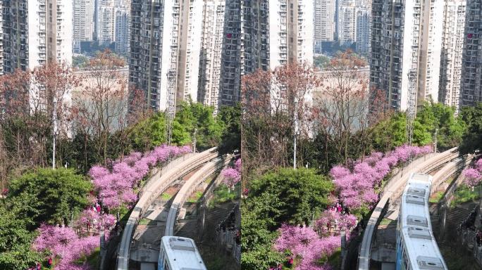 开往春天的地铁