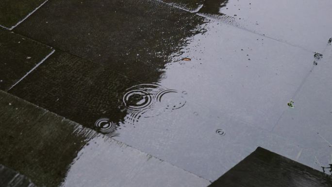 杭州西湖钱王祠下雨-江南烟雨