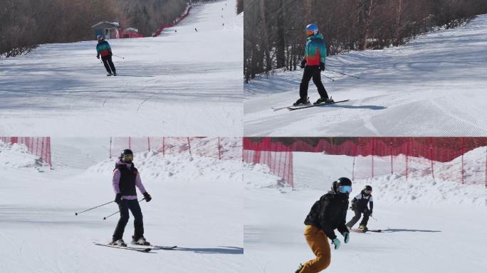 自由式滑雪集锦滑雪镜头高清慢动作