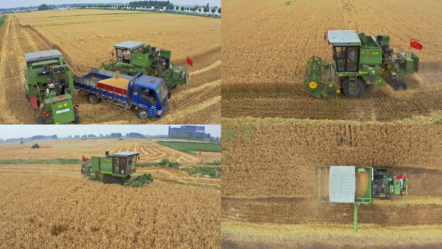 【4K】小麦收割场景航拍