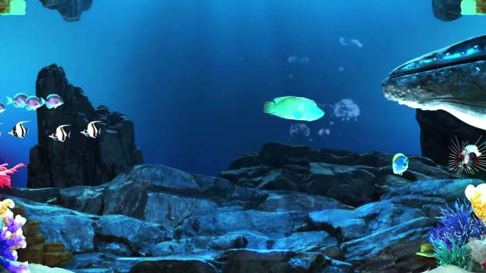海底世界鱼群动画循环 (1)