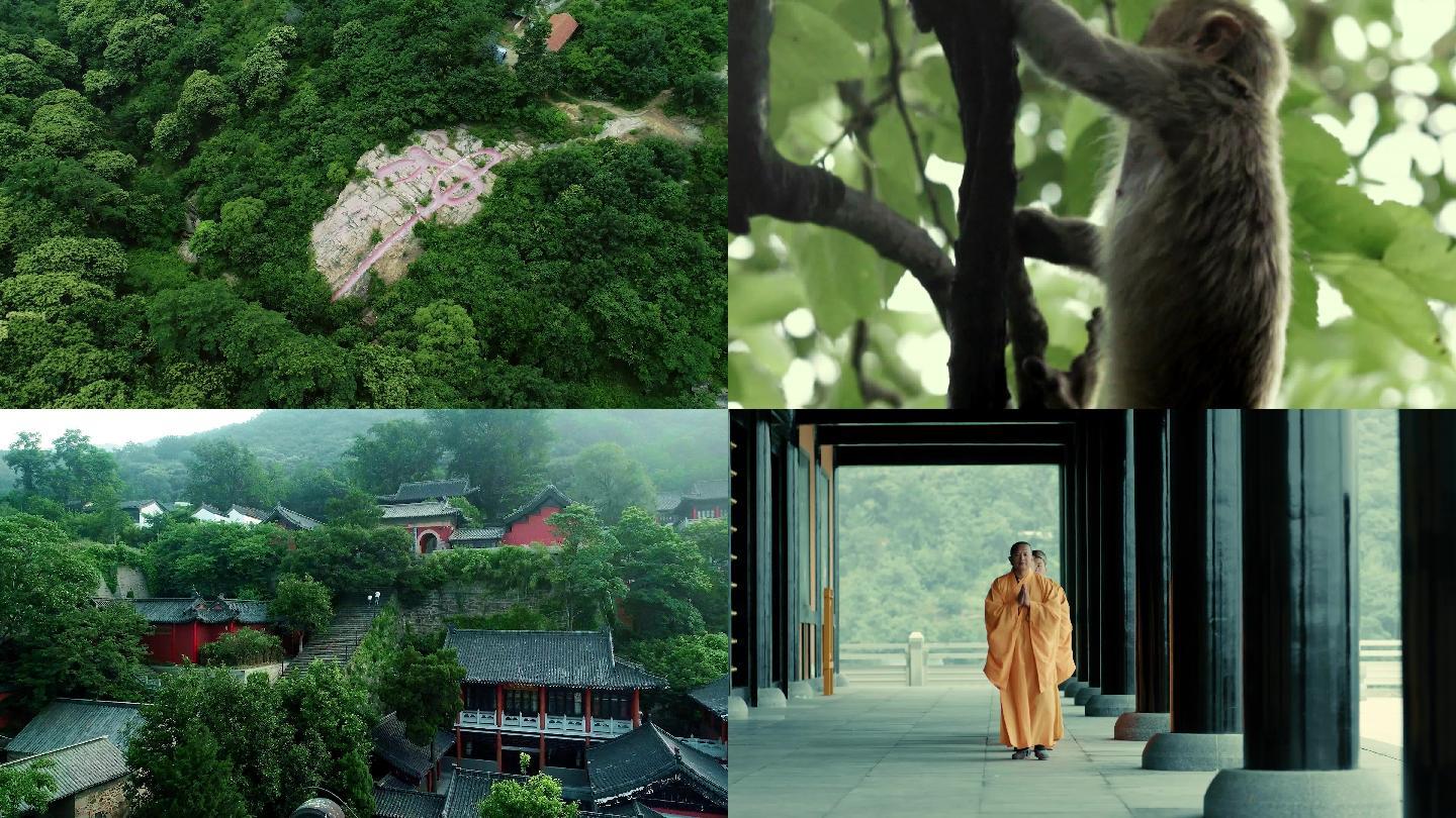 4k 花果山猴子和尚寺庙 3840x2160 高清视频素材下载 编号 实拍视频 光厂 Vj师网 Www Vjshi Com