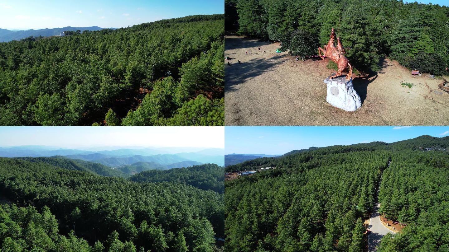 楚雄紫溪山风景区4K航拍素材