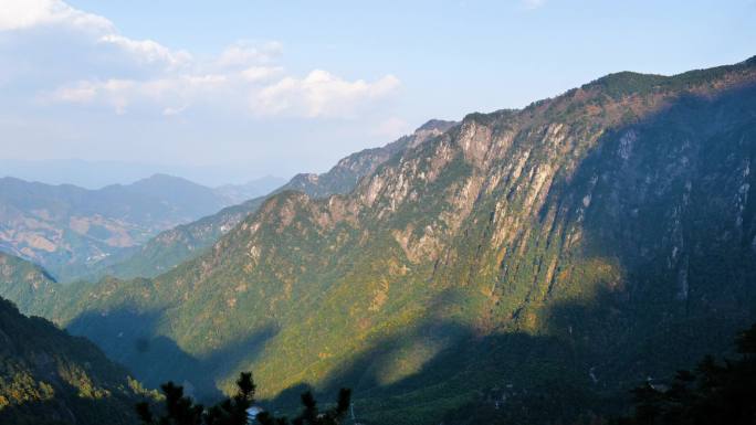 高山森林云海风光