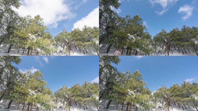 昆明大哨森林雪景延时摄影