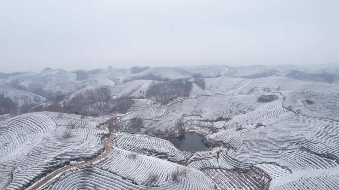 茶山雪景