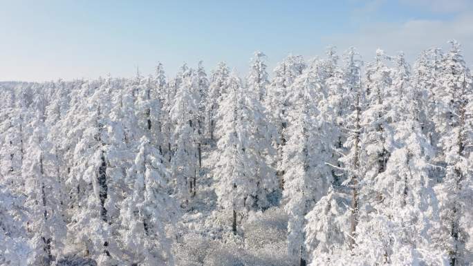 4K大雪覆盖的瓦屋山梦幻森林