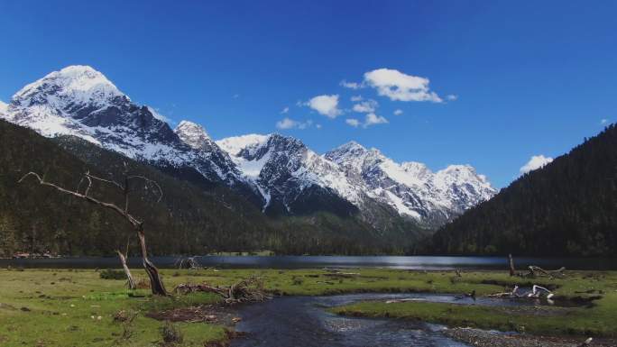 四川甘孜九龙伍须海航拍风景雪山草甸湖泊