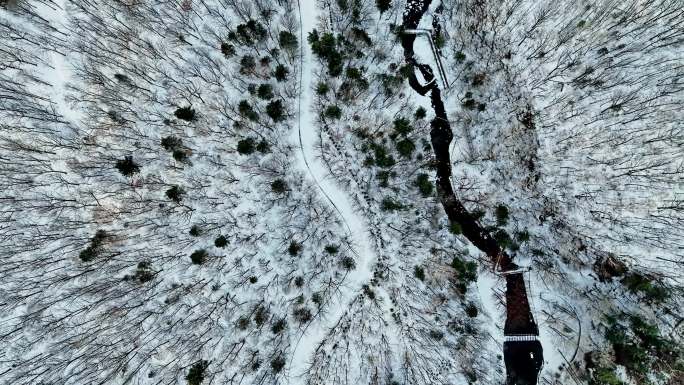 航拍冬天大兴安岭林海雪原