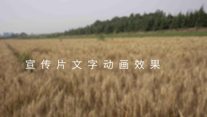 企业宣传片文字动画从右往左打开ae模板