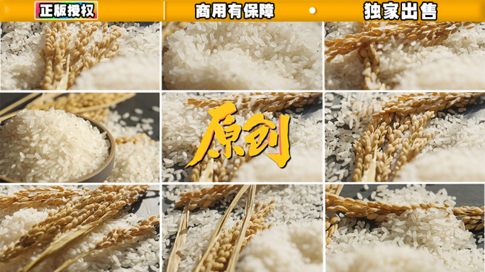 4k大米稻穗梅河大米
