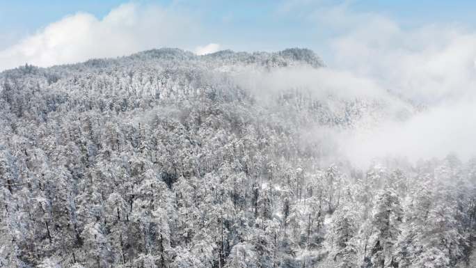 4K大雪覆盖的瓦屋山梦幻森林