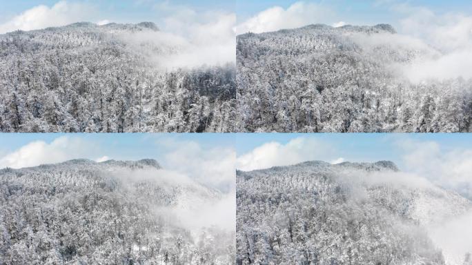 4K大雪覆盖的瓦屋山梦幻森林