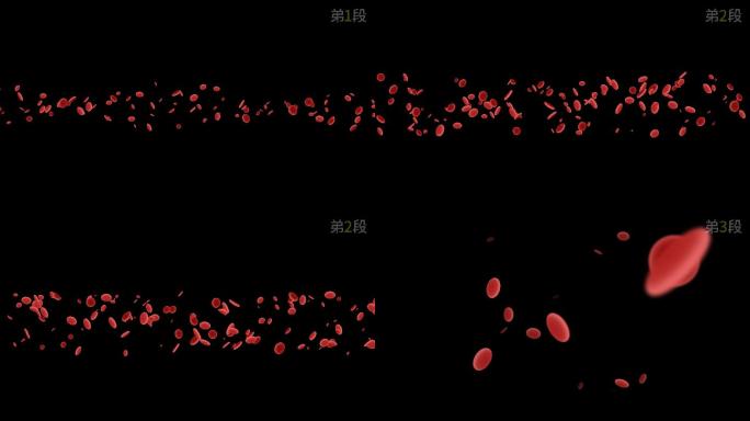 红细胞流动_alpha