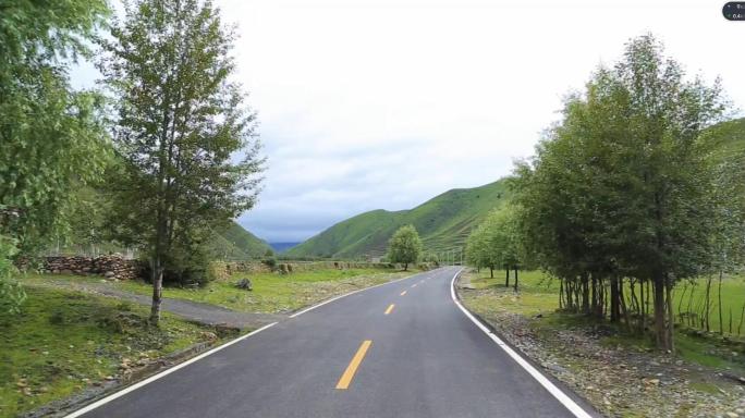 草原 路边 树木 马儿 经幡  野花