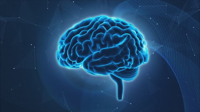 全息科技大脑抽象思维活动