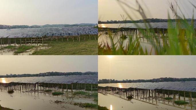 沼泽地太阳能发电