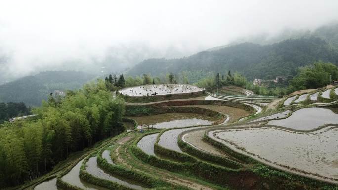 航拍梯田田园茶园风景