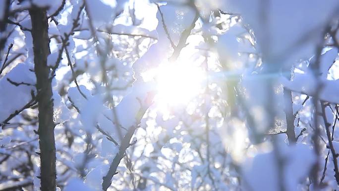 实拍冬季东北晨练雪景混剪