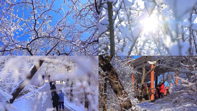 实拍冬季东北晨练雪景混剪