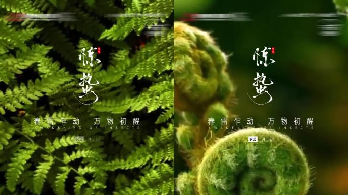 24节气之惊蛰地产15秒价值点推广小视频