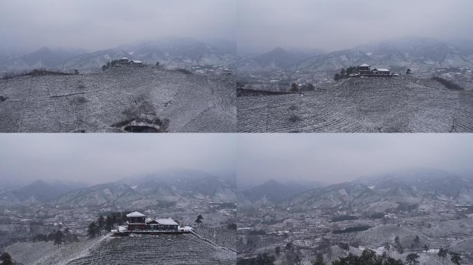 文新茶山雪景