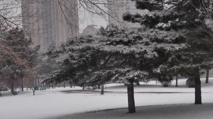 东北空境素材暴雪下雪空境大雪出行公园街景