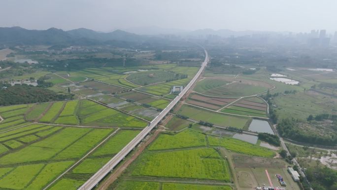 春天高铁穿过农田油菜花