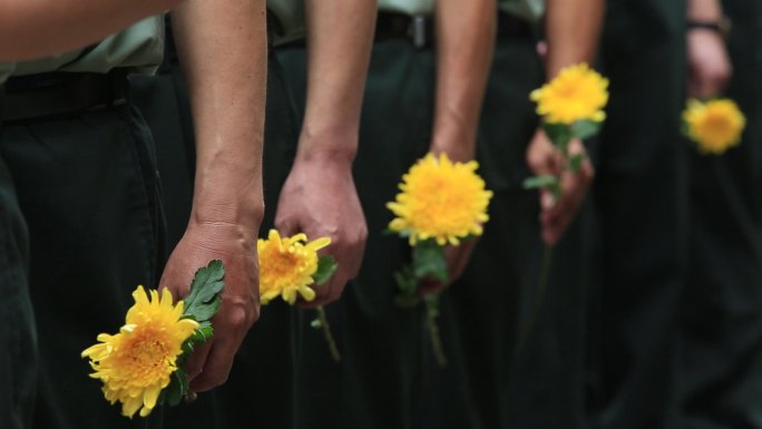 清明节菊花纪念革命先烈先人祭祀缅怀