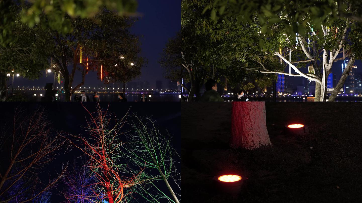 夜景园林树木灯光设计