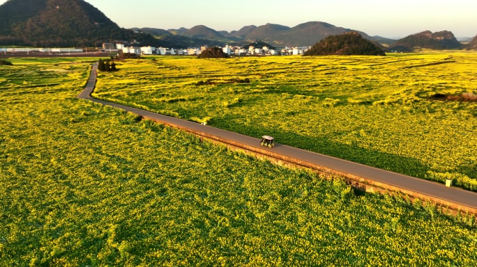 2022春季罗平万亩油菜花航拍