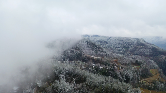 大山冬天下雪雪景