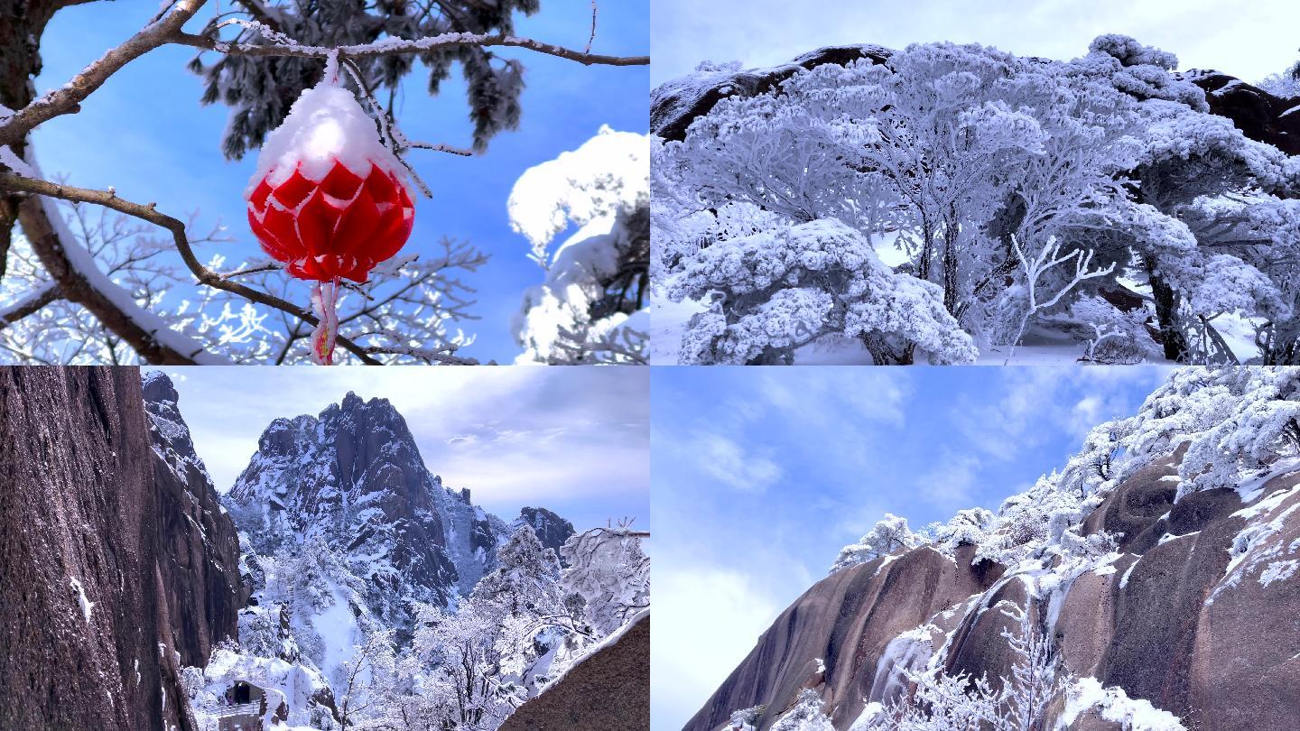 黄山 雪松 迎客松