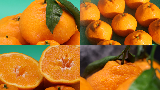 橘子丑橘柑橘桔子脐橙实拍