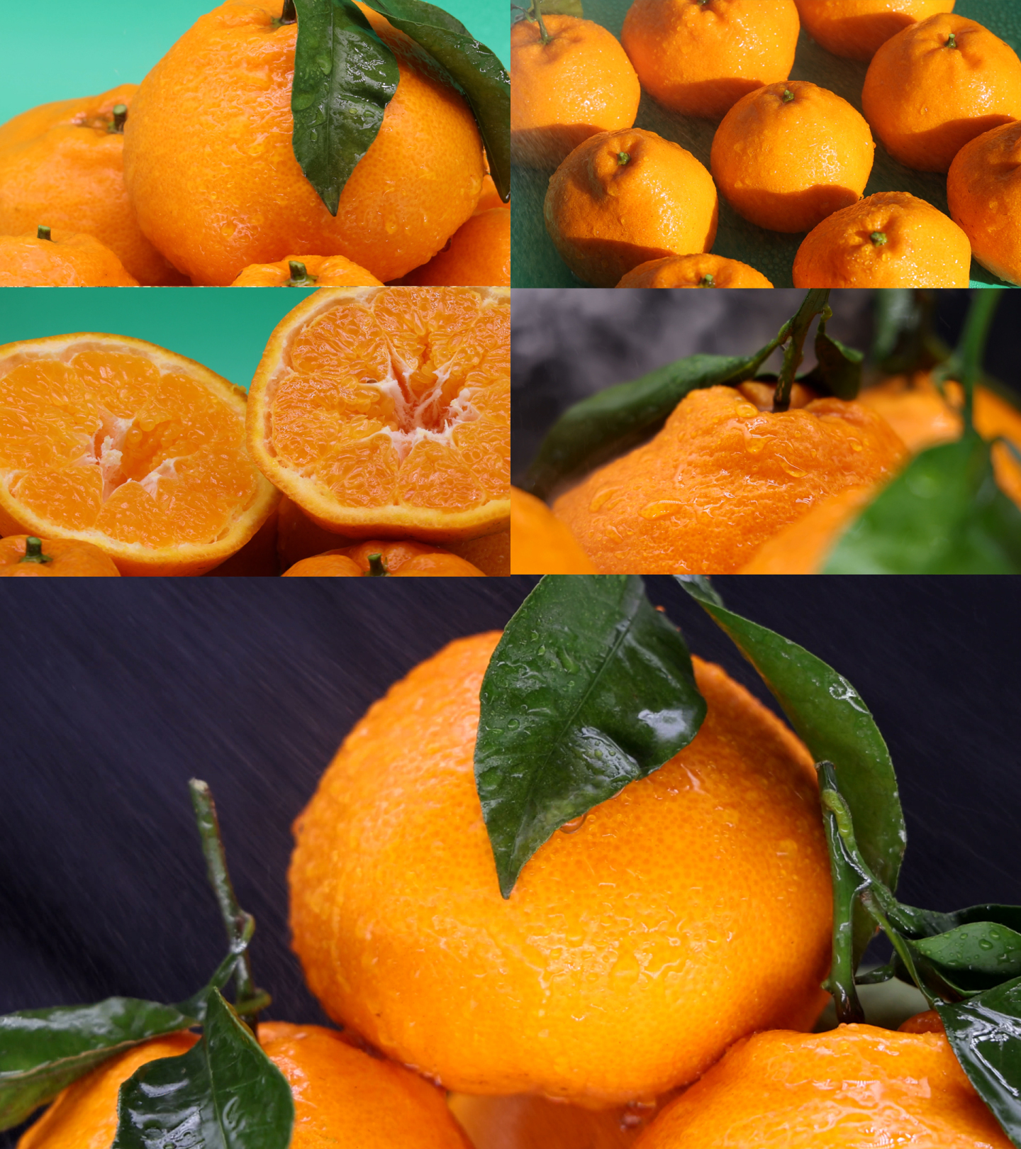 橘子丑橘柑橘桔子脐橙实拍