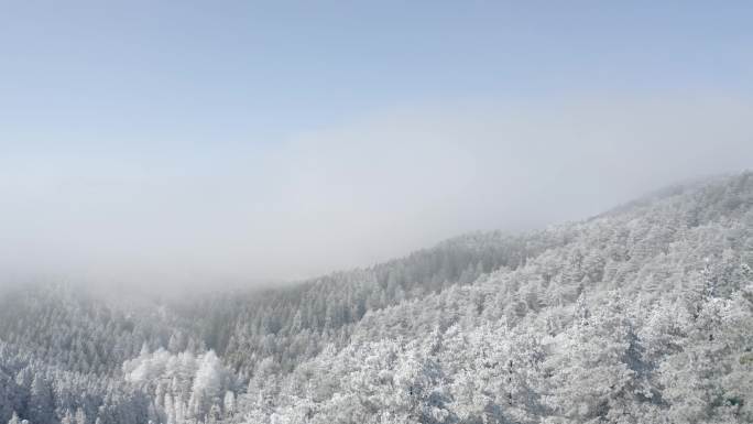 高山雾凇